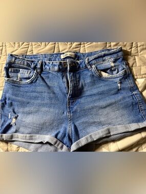 Women’s Zara Authentic Denim by TRF Size 12 Shorts